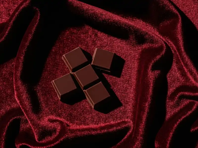 Two squares of dark chocolate with a slight sheen